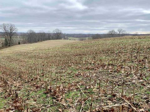 977 E 520n Rd, Jasper, IN 47546 photo 14