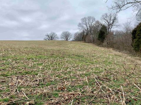 977 E 520n Rd, Jasper, IN 47546 photo 16
