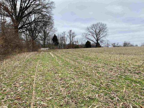 977 E 520n Rd, Jasper, IN 47546 photo 10