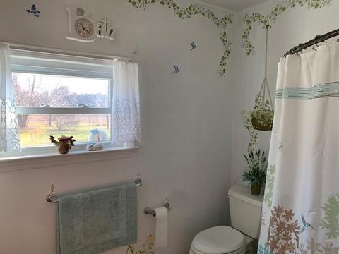 9215 E Division Rd, Akron, IN 46910 photo 9