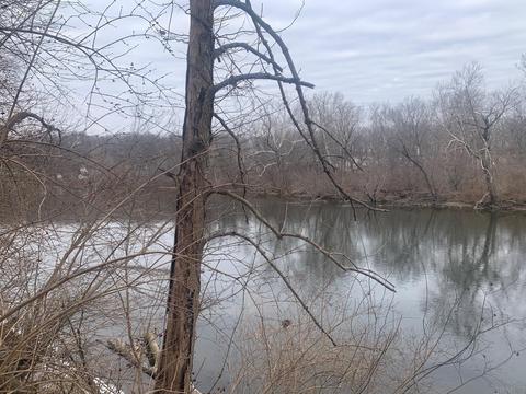 12217 W Ranch Ln, Delphi, IN 46923 photo 18