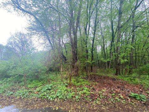 lot3 Rivercrest Dr #3, Warsaw, IN 46580