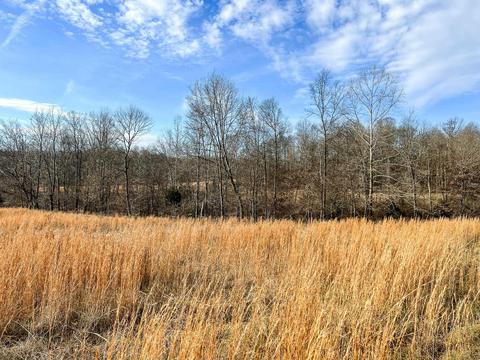 1075 Hidden Valley Ln, Mitchell, IN 47446 photo 6