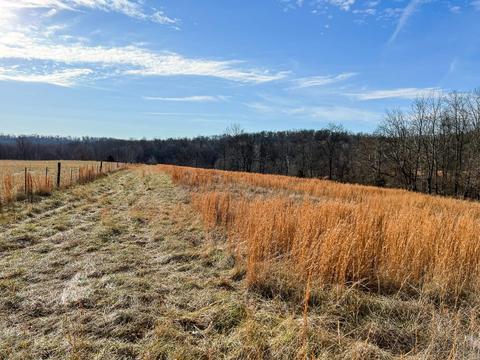 1075 Hidden Valley Ln, Mitchell, IN 47446 photo 5