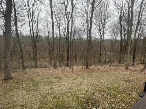 6461 E Cox Dr, Bloomington, IN 47408 photo 20