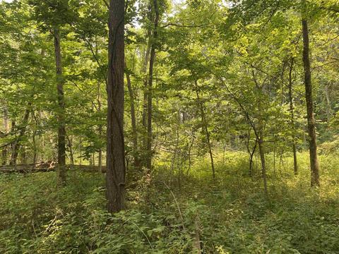 1740 County Rd 27 Rd, Waterloo, IN 46793 photo 35