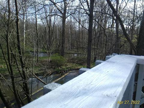 806 E Vistula St, Bristol, IN 46507 photo 21