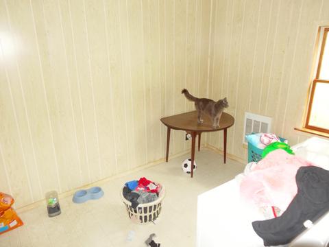 200 W High St, Mount Summit, IN 47361 photo 16