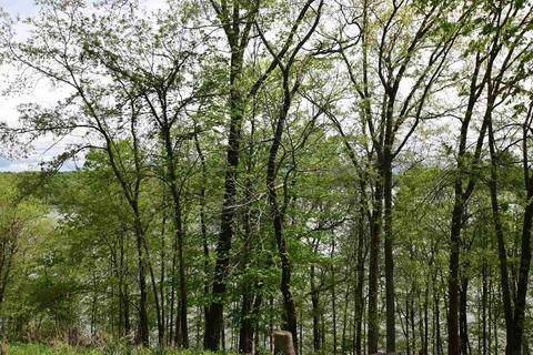 1854 E Waters Edge Dr, Bloomington, IN 47401 photo 25