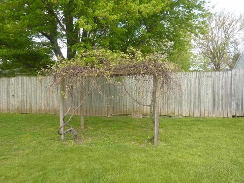1107 E 33rd St, Marion, IN 46953 photo 5