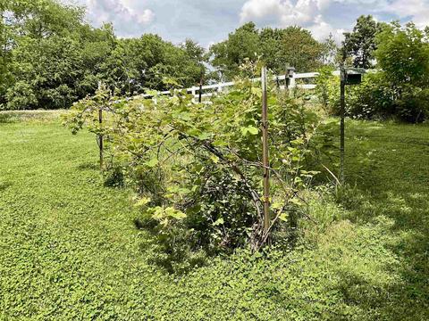942 E 14th St, Ferdinand, IN 47532 photo 18