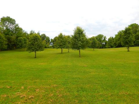 4875 N Thomas Rd, Bloomington, IN 47404 photo 23