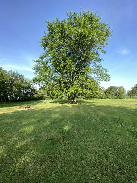 2072 S Salem Rd, Monroe, IN 46772 photo 31