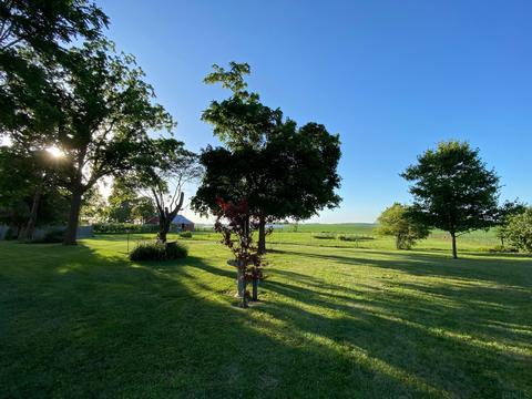 771 E 800 S, Fairmount, IN 46928 photo 33