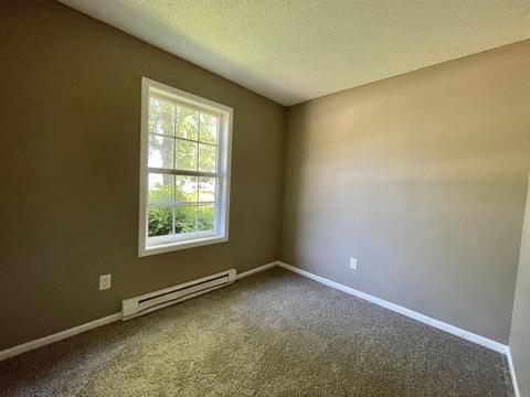 112 Chapel Ln, Ashley, IN 46705 photo 6