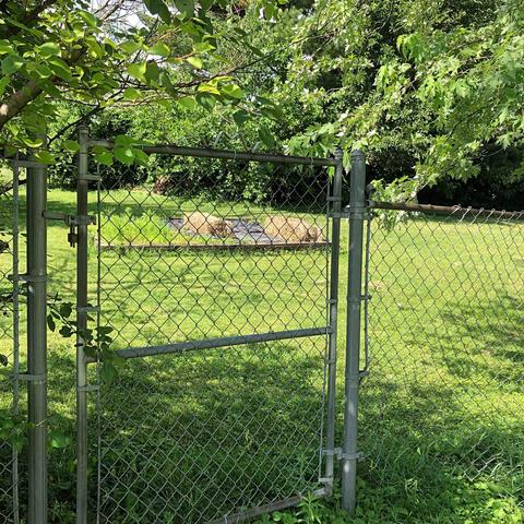 220 E Mill St, Odon, IN 47562 photo 13