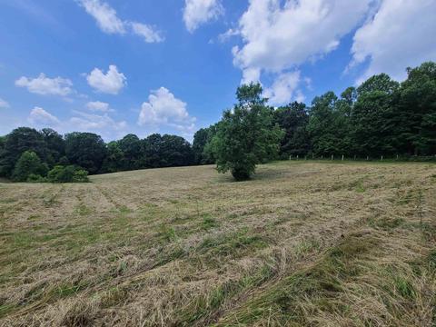 2195 Ridge Rd, Williams, IN 47470 photo 6