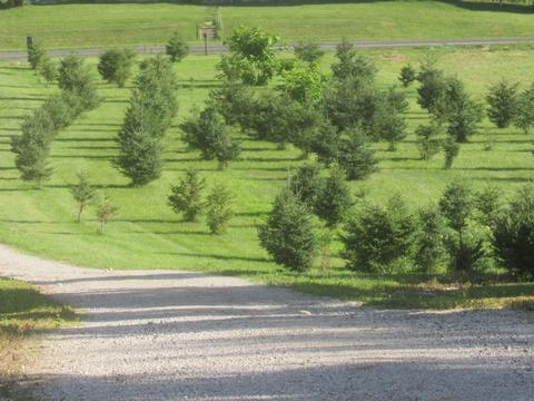 5299 E Baseline Rd, Avilla, IN 46710 photo 21