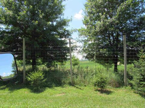 5299 E Baseline Rd, Avilla, IN 46710 photo 22