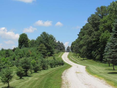 5299 E Baseline Rd, Avilla, IN 46710 photo 23