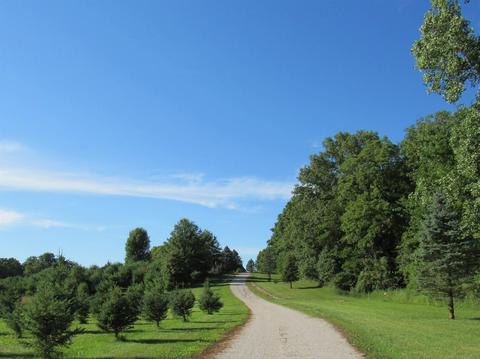 5299 E Baseline Rd, Avilla, IN 46710 photo 2