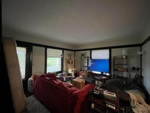 10167 W 600 S, Modoc, IN 47358 photo 20