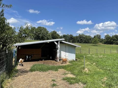 253 Riggle Rd, Williams, IN 47470 photo 21