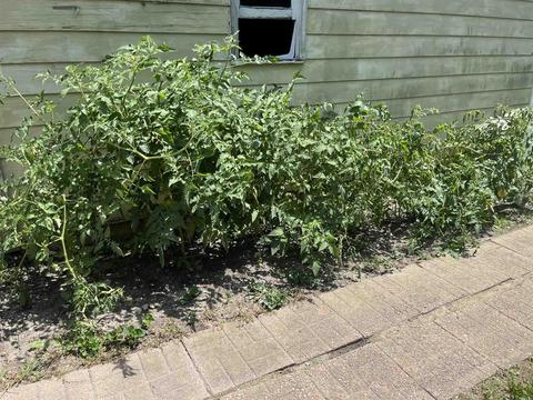 326 E Hill St, Wabash, IN 46992 photo 25