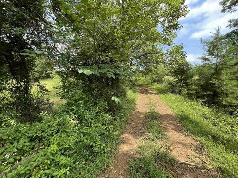 805 State Road 60 W, Mitchell, IN 47446 photo 34