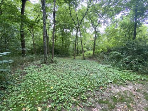 1720 E Sanders Second Ave, Bloomington, IN 47401 photo 15
