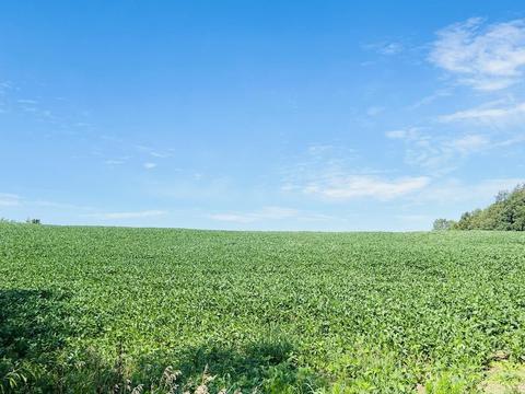 5079 E Division Rd, La Porte, IN 46350 photo 10