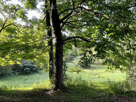970 S Meridian Rd, Mitchell, IN 47446 photo 26