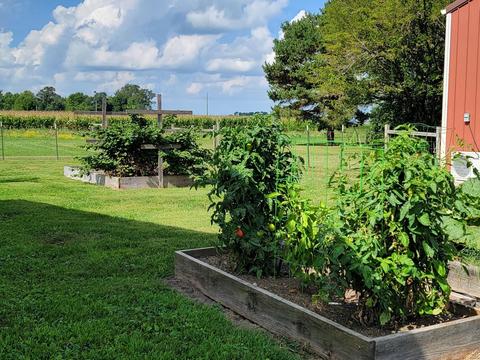 1475 E Division Rd, Tipton, IN 46072 photo 5