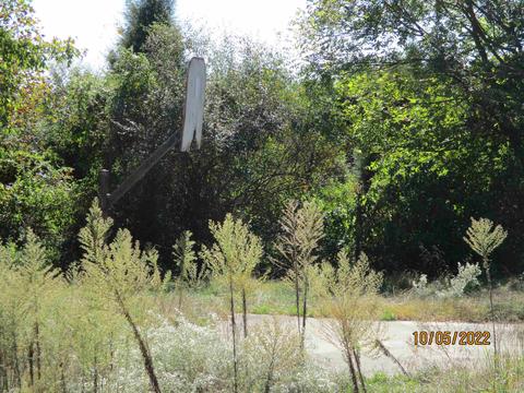 6997 W Pedora School Rd, Eckerty, IN 47116 photo 5