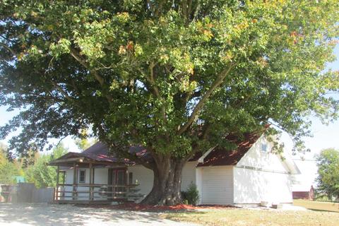 1943 S Meridian Rd, Mitchell, IN 47446 photo 19