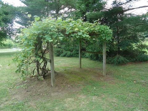 84 Grissom Rd, Williams, IN 47470 photo 5