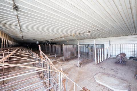 10751 Edgewater Rd, Albany, IN 47320 photo 29
