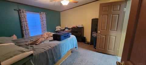 11660 N 700 E, Odon, IN 47562 photo 6