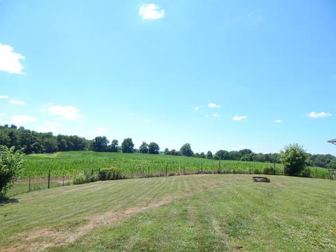 833 Cassidy Ln, Mitchell, IN 47446 photo 34