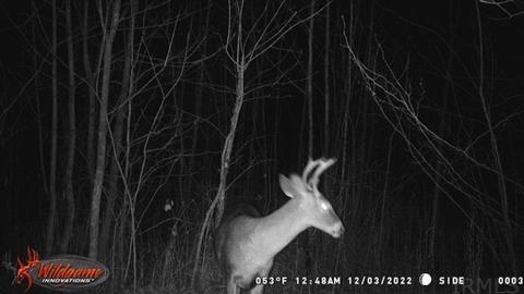311 Eble Rd, Boonville, IN 47601 photo 33