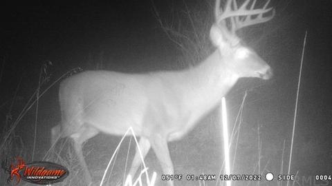 311 Eble Rd, Boonville, IN 47601 photo 32