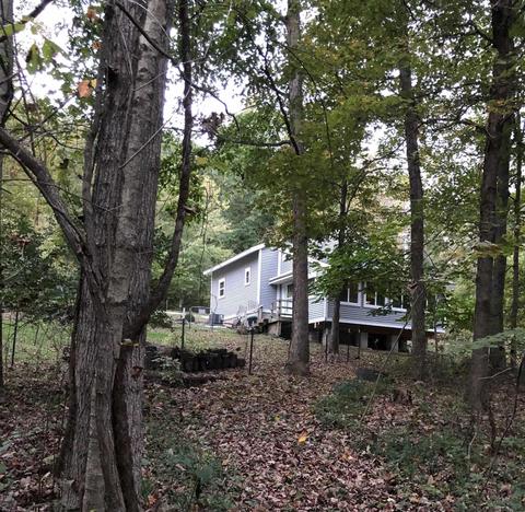 1031 Sherwood Rd, Mitchell, IN 47446 photo 9