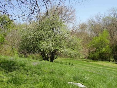 101 Brook St, Mitchell, IN 47446 photo 3