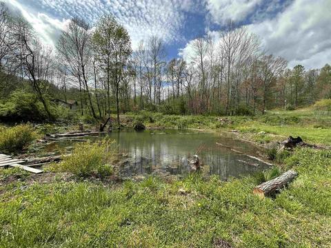 11256 E Access Rd, Springville, IN 47462 photo 5