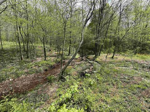 11256 E Access Rd, Springville, IN 47462 photo 3