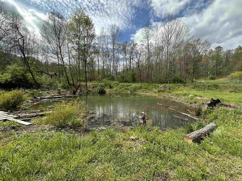 11256 E Access Rd, Springville, IN 47462 photo 4
