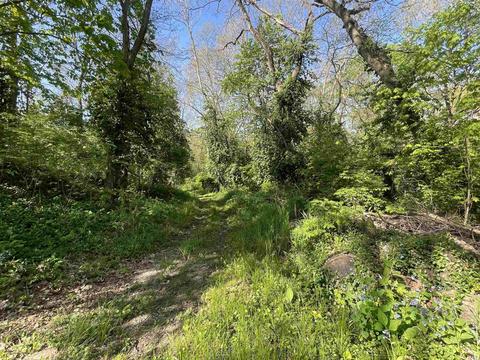 115 8th St Common, Covington, IN 47932 photo 19