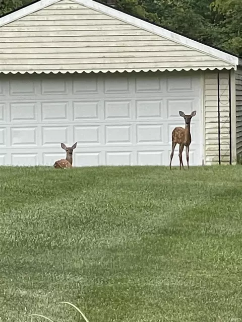 2888 E Bocock Rd, Marion, IN 46952 photo 36