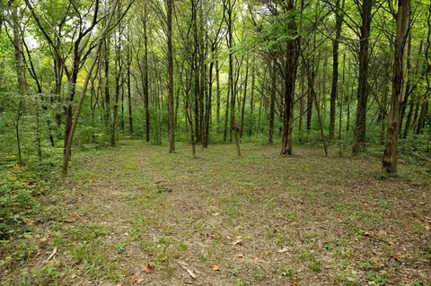 94 Sunset Rdg, Mitchell, IN 47446 photo 34