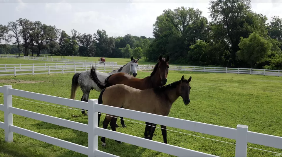  1014 Saddlebrooke Cir, Chandler, IN 47610 photo 4